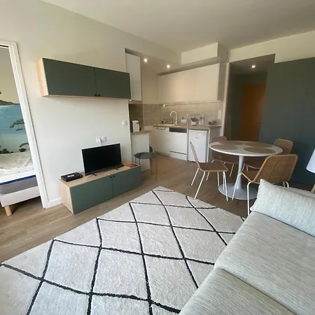 Apartment T1 Avec Terrasse Et Parking Securise - Fr-1-374-234 *